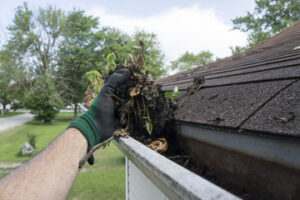 Gutter Installation